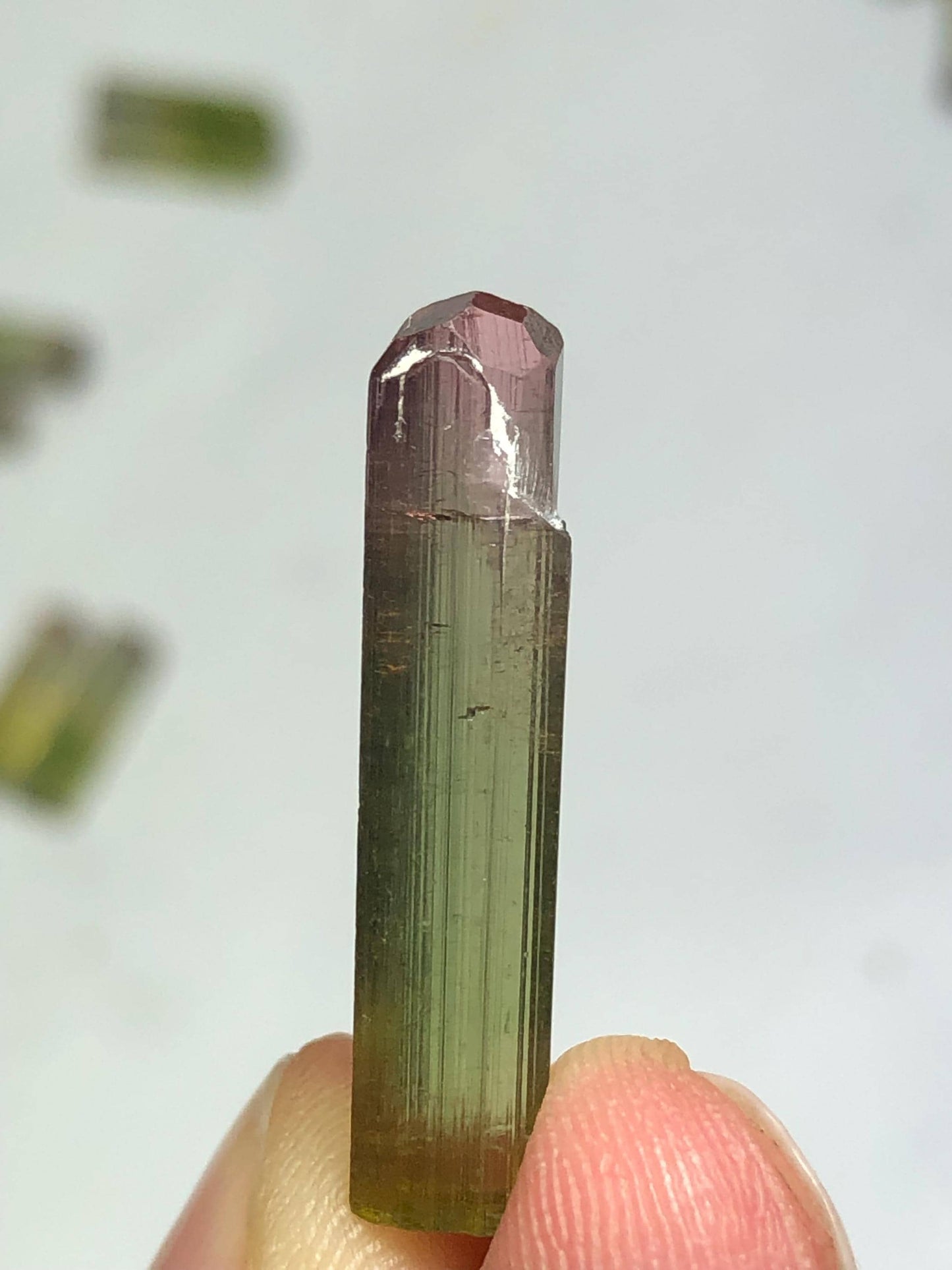 Bi Colour Tourmaline Crystal 8.30 ct - Collector Mineral Specimen