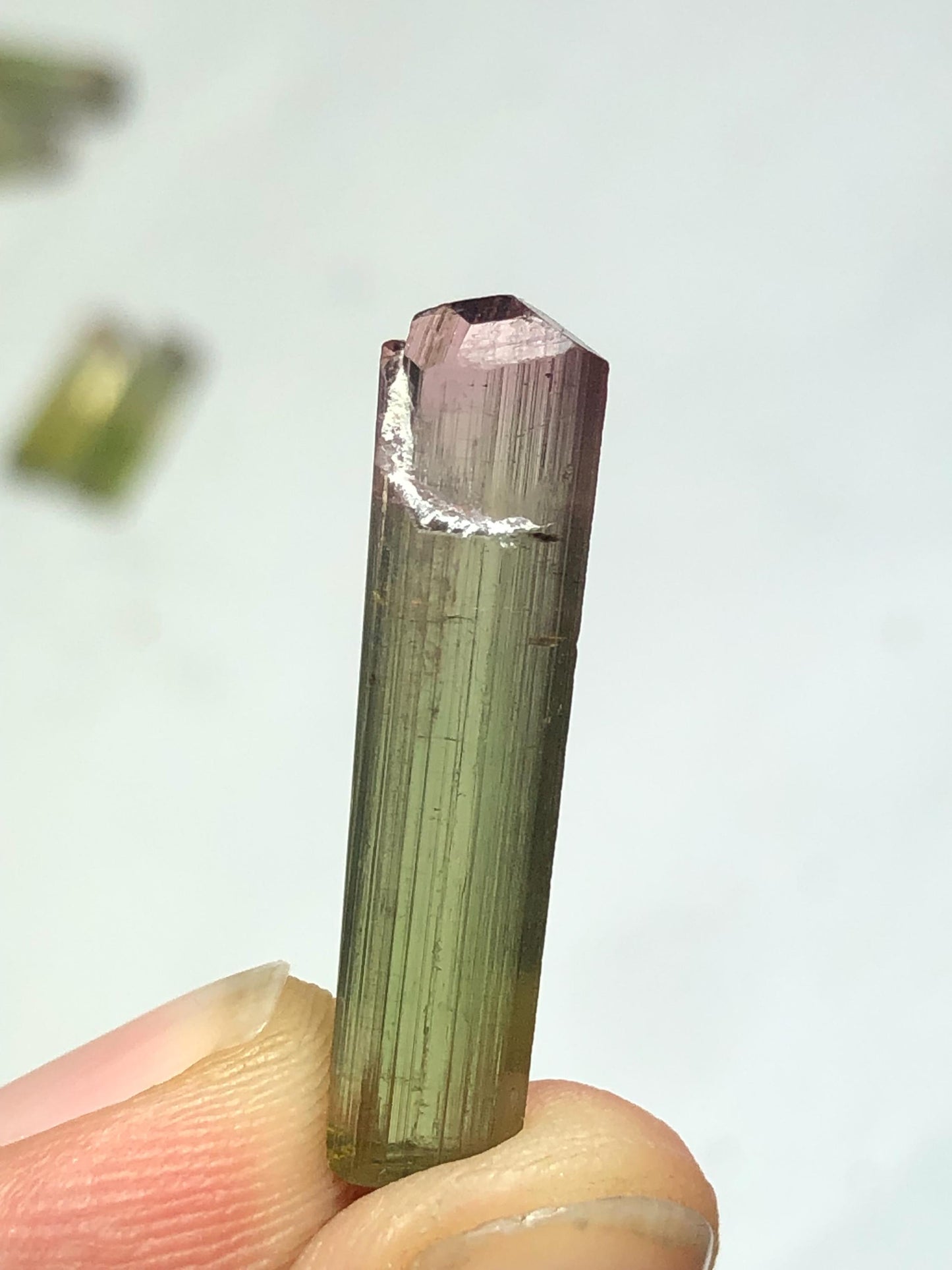 Bi Colour Tourmaline Crystal 8.30 ct - Collector Mineral Specimen