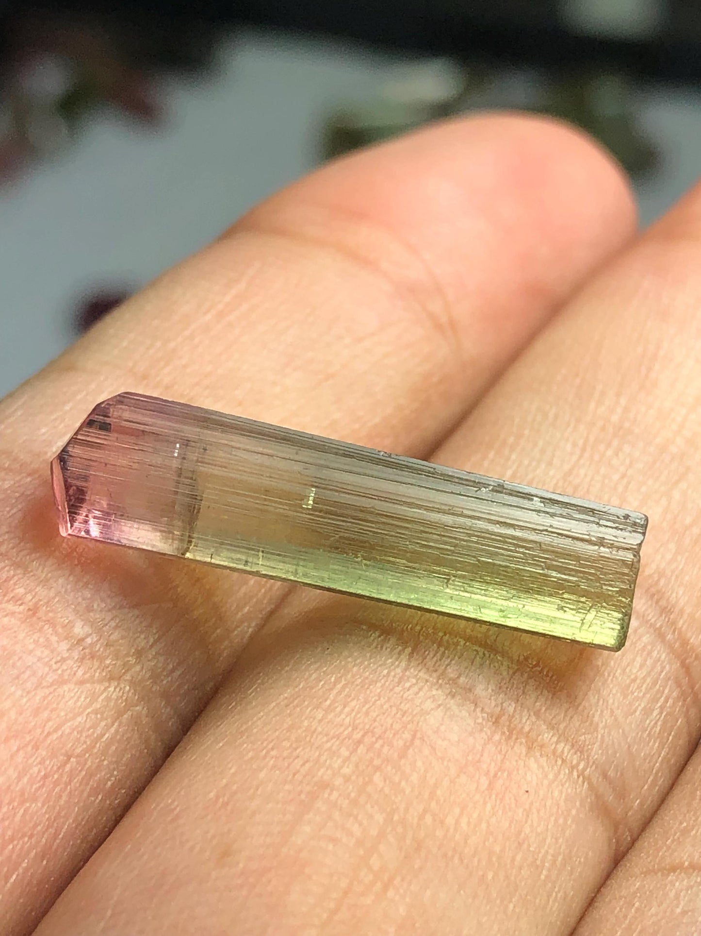 Bi Colour Tourmaline Crystal 8.30 ct - Collector Mineral Specimen