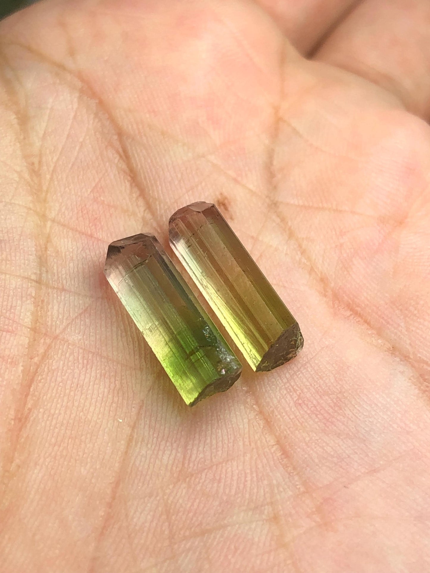 Bi Colour Tourmaline Crystal Pair 10.80 ct - Collector Mineral Stones