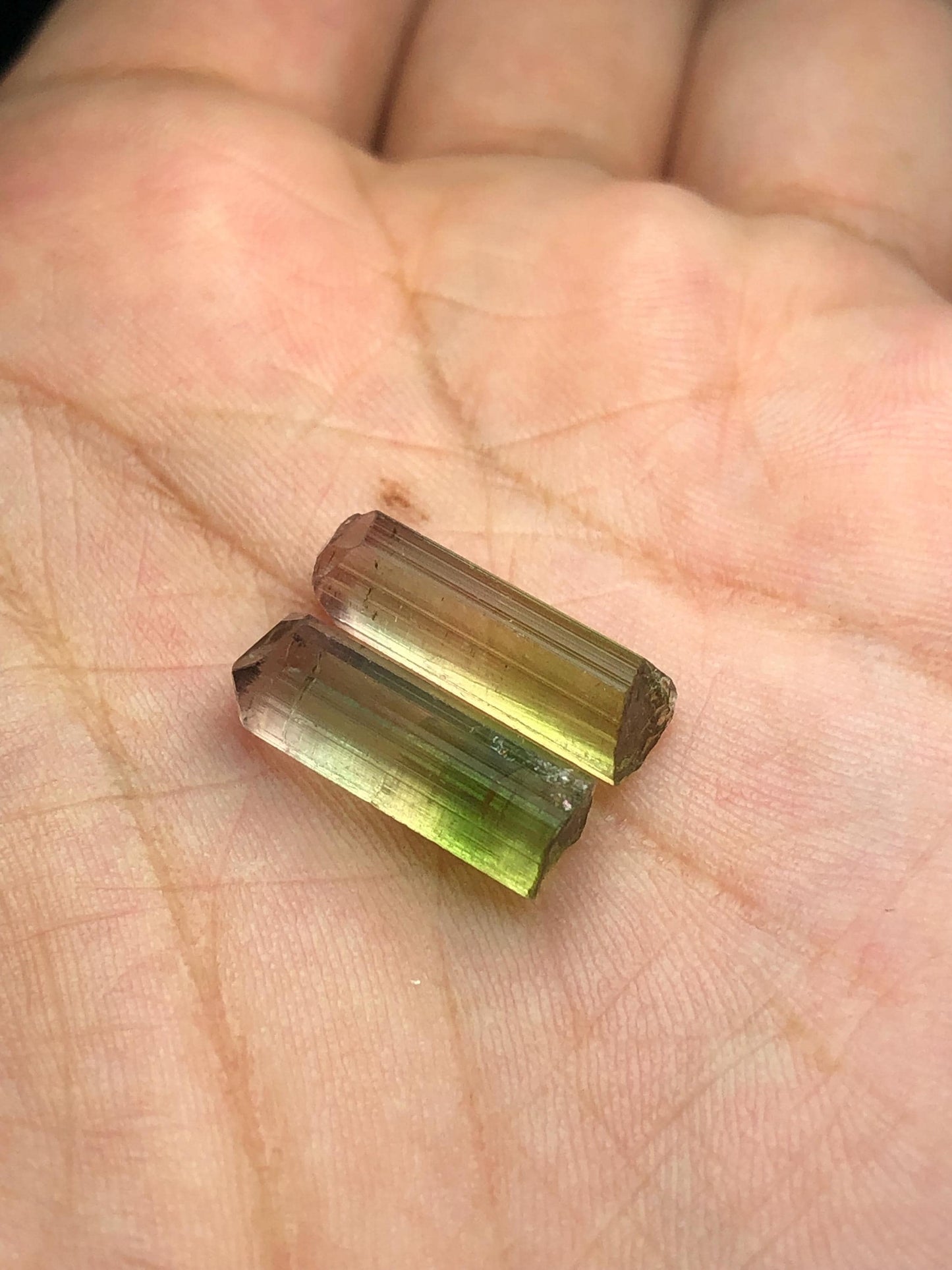 Bi Colour Tourmaline Crystal Pair 10.80 ct - Collector Mineral Stones
