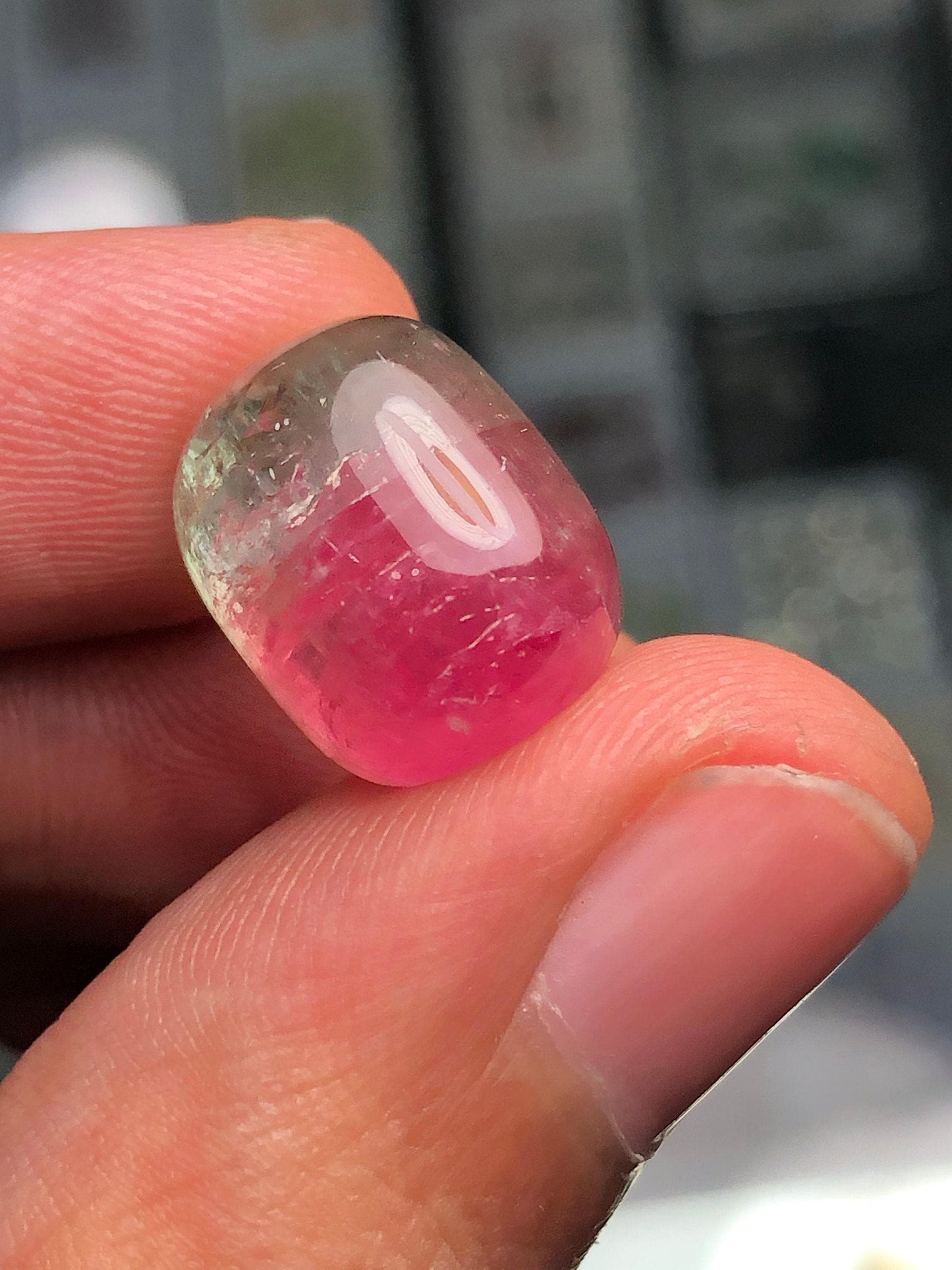 Watermelon Tourmaline Cabochon 14.30 ct - Natural Healing Crystal