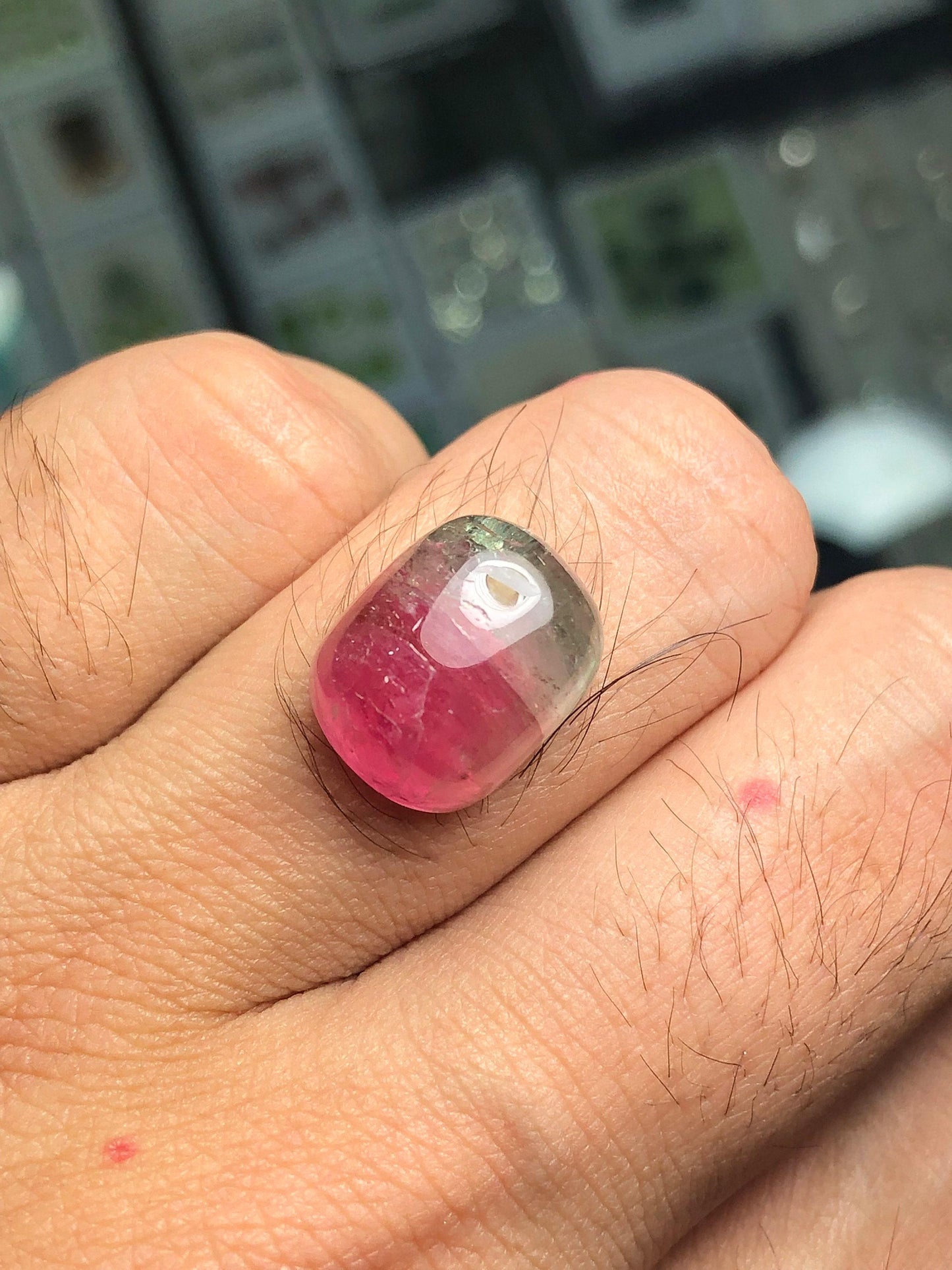 Watermelon Tourmaline Cabochon 14.30 ct - Natural Healing Crystal