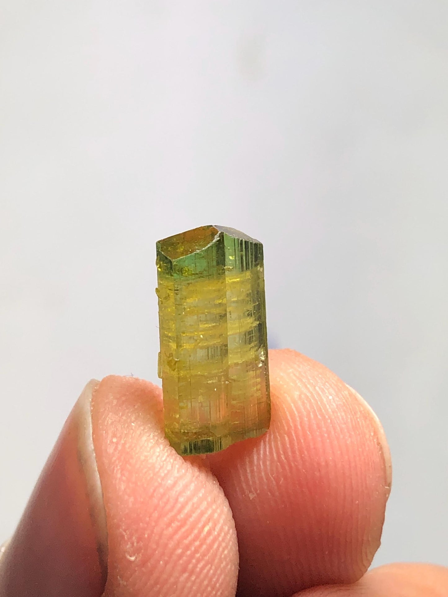 Bi Colour Tourmaline Crystal 4 ct - Terminated Collector Specimen