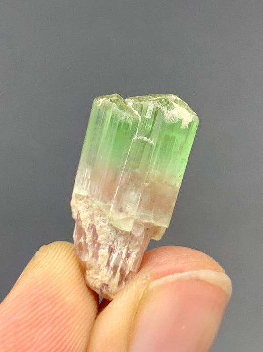 Bi Colour Tourmaline Crystal 15.80 ct – Afghan Mineral Specimen
