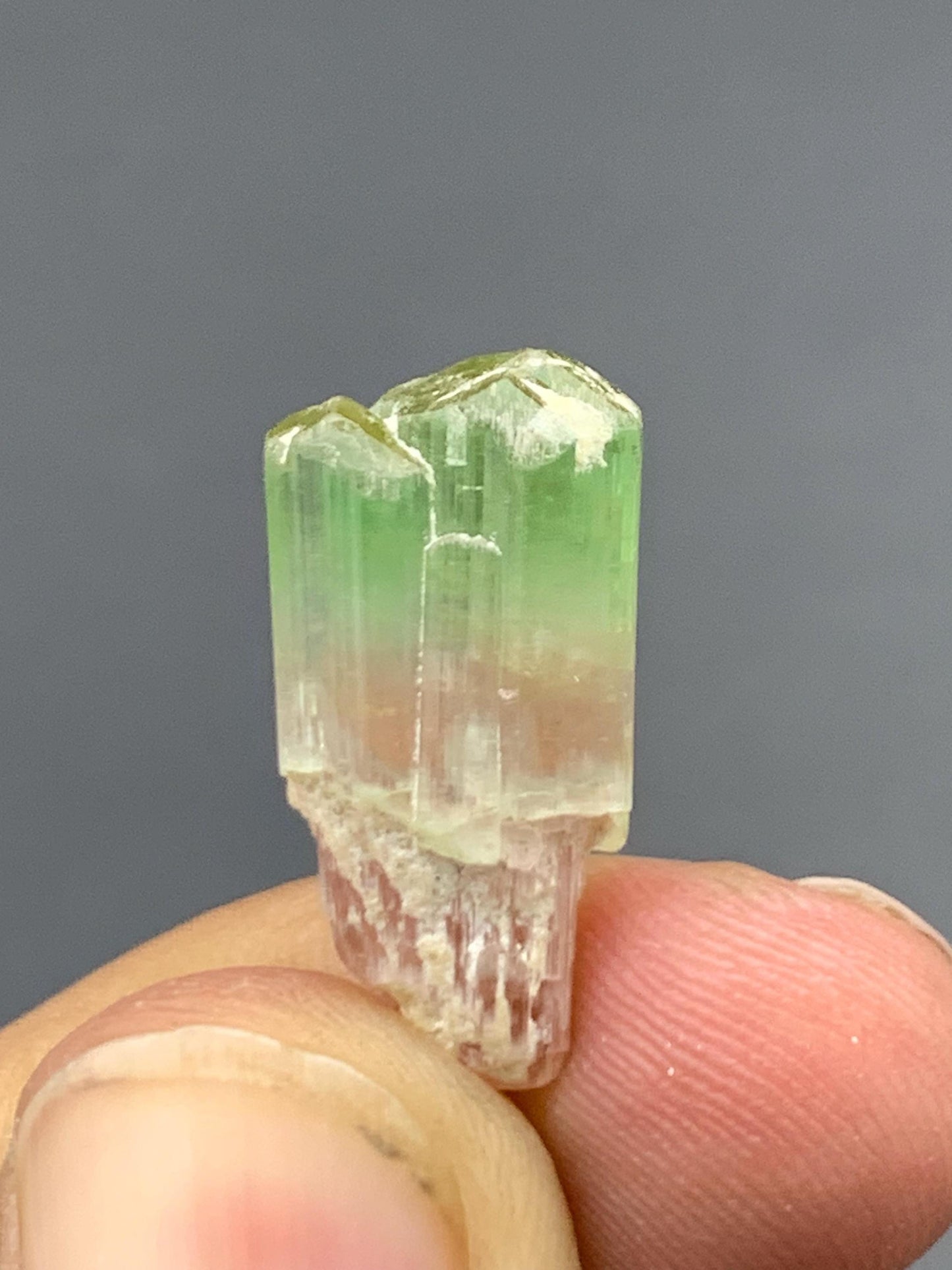Bi Colour Tourmaline Crystal 15.80 ct – Afghan Mineral Specimen
