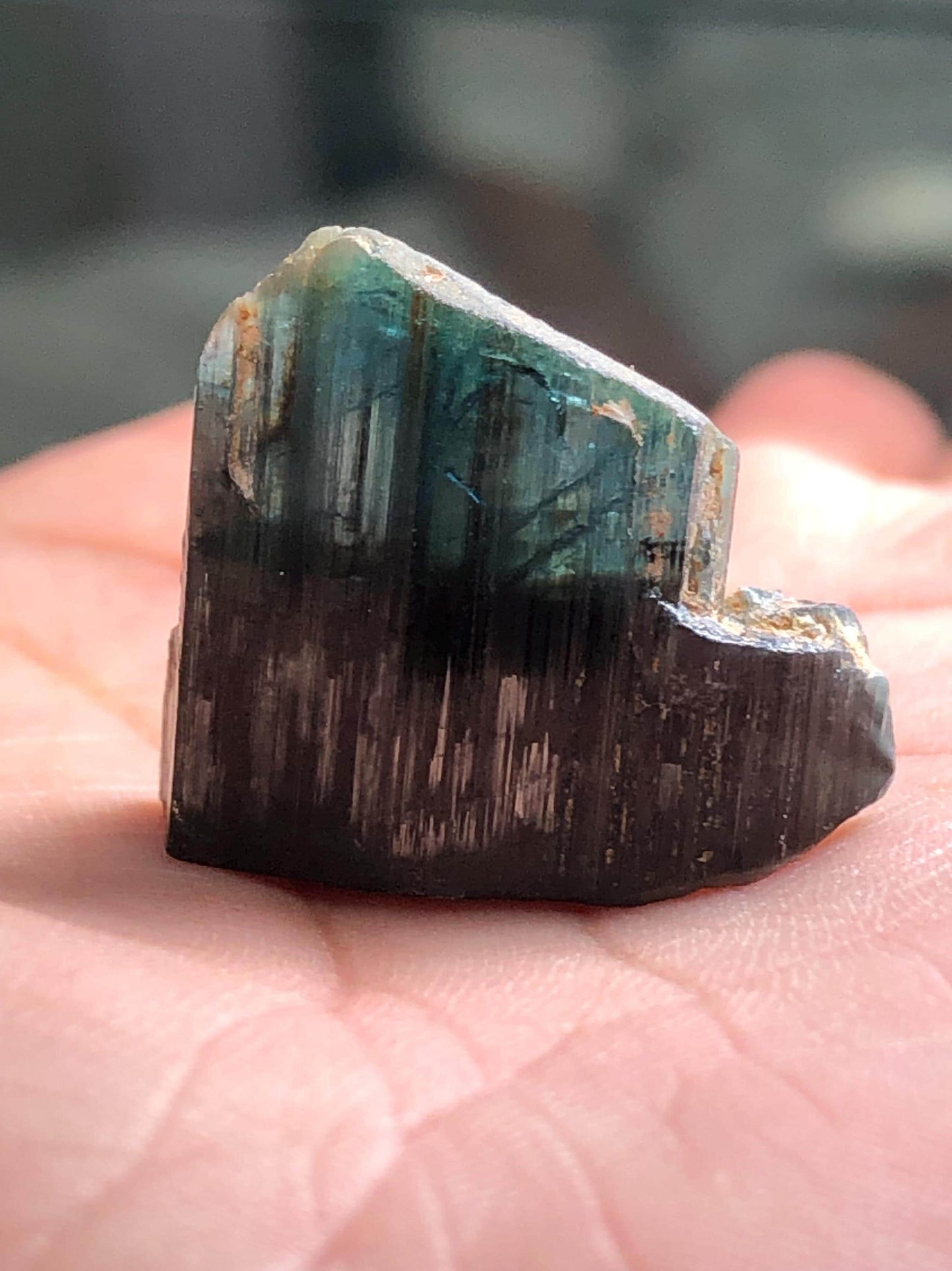 Tourmaline Crystal Specimen 31.00 ct – Natural Collector Mineral