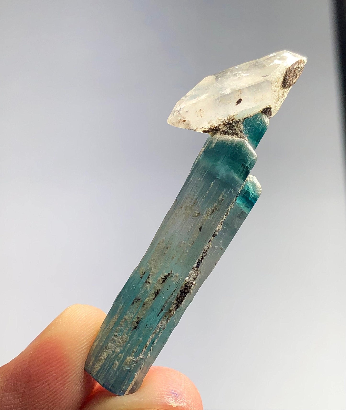 Blue Tourmaline Crystal with Quartz 37 ct - Terminated Collector Specimen