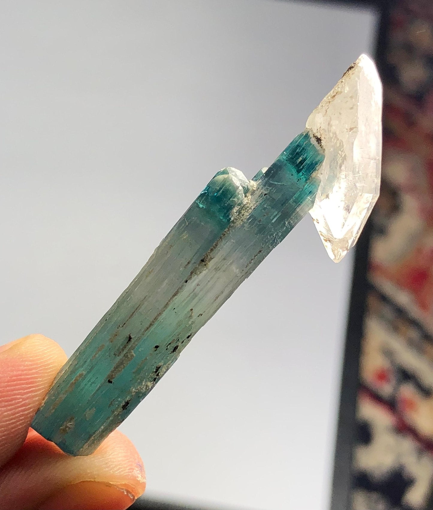Blue Tourmaline Crystal with Quartz 37 ct - Terminated Collector Specimen