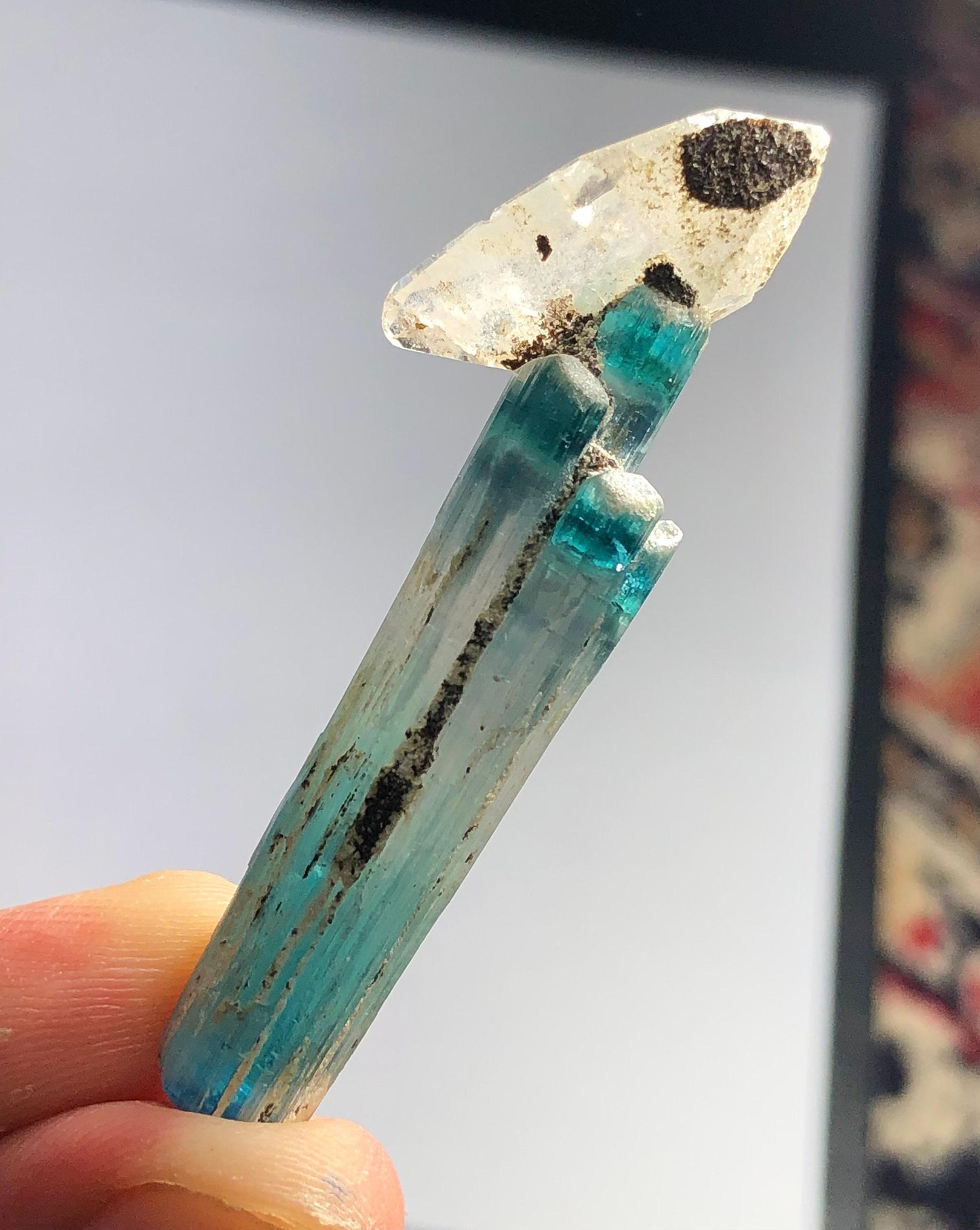 Blue Tourmaline Crystal with Quartz 37 ct - Terminated Collector Specimen
