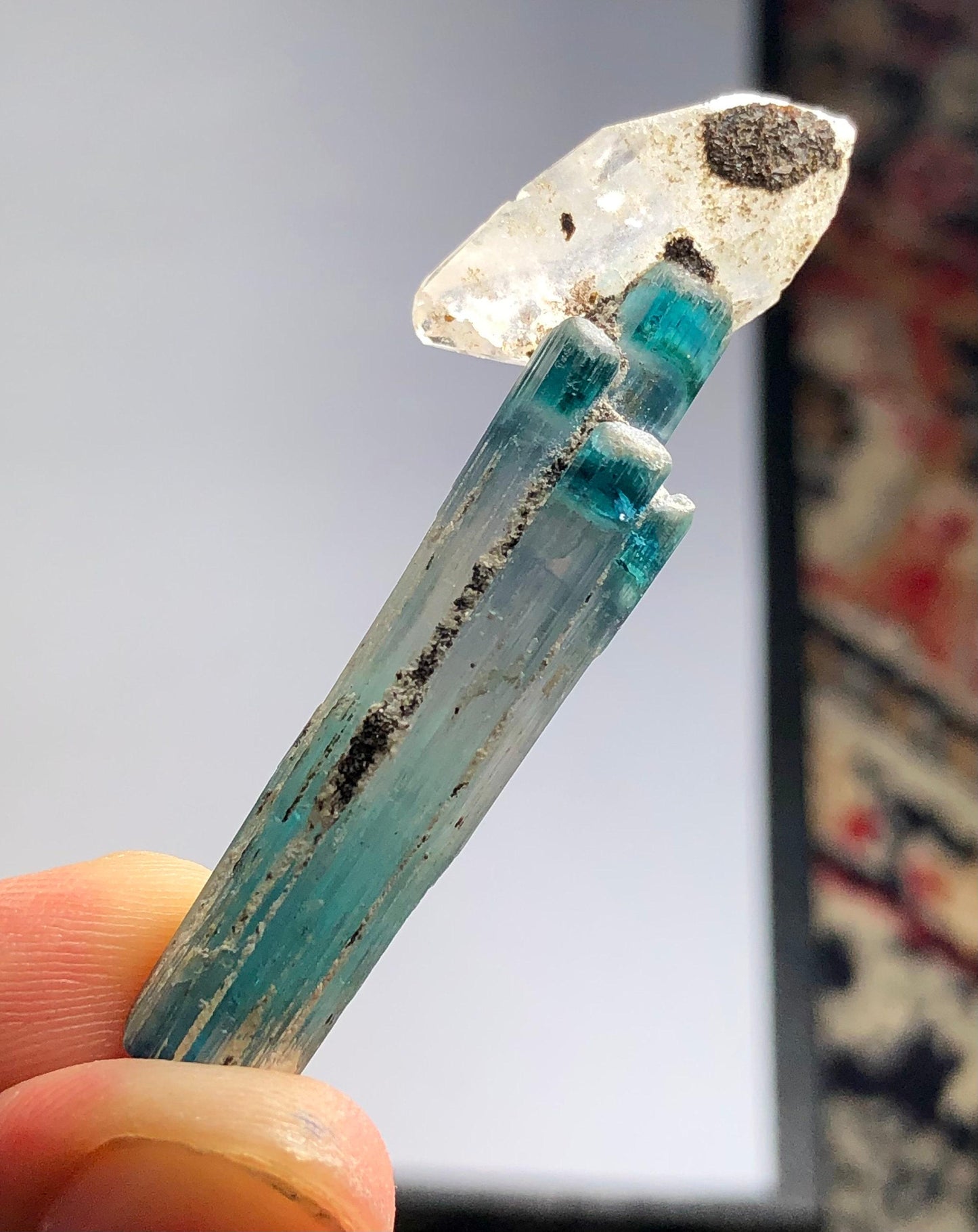 Blue Tourmaline Crystal with Quartz 37 ct - Terminated Collector Specimen