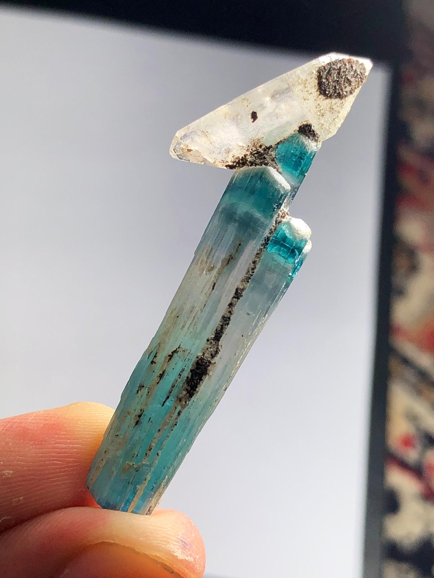 Blue Tourmaline Crystal with Quartz 37 ct - Terminated Collector Specimen