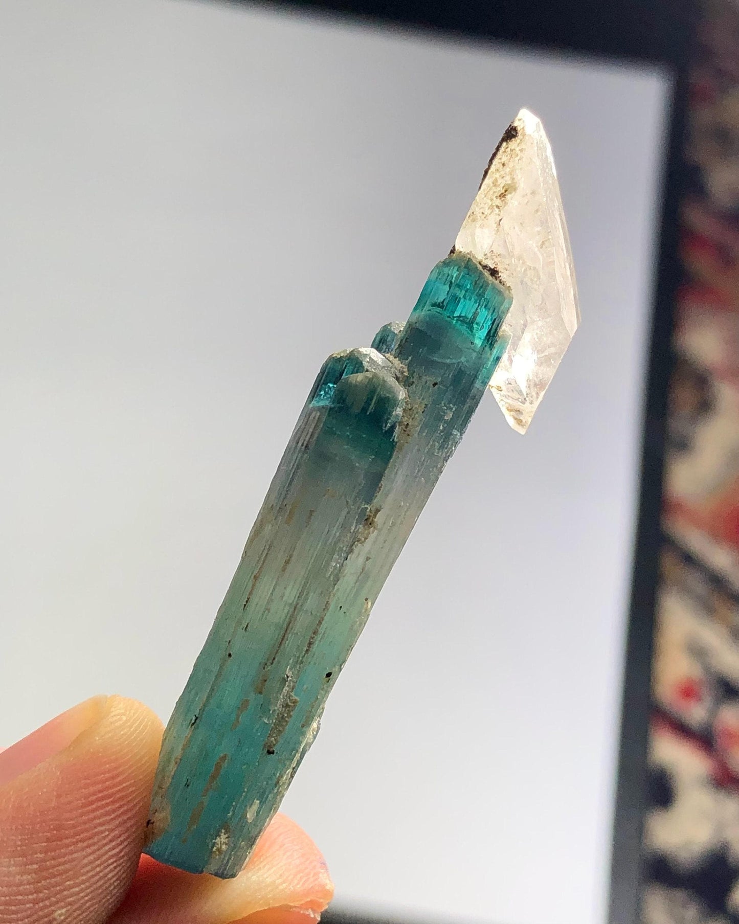 Blue Tourmaline Crystal with Quartz 37 ct - Terminated Collector Specimen