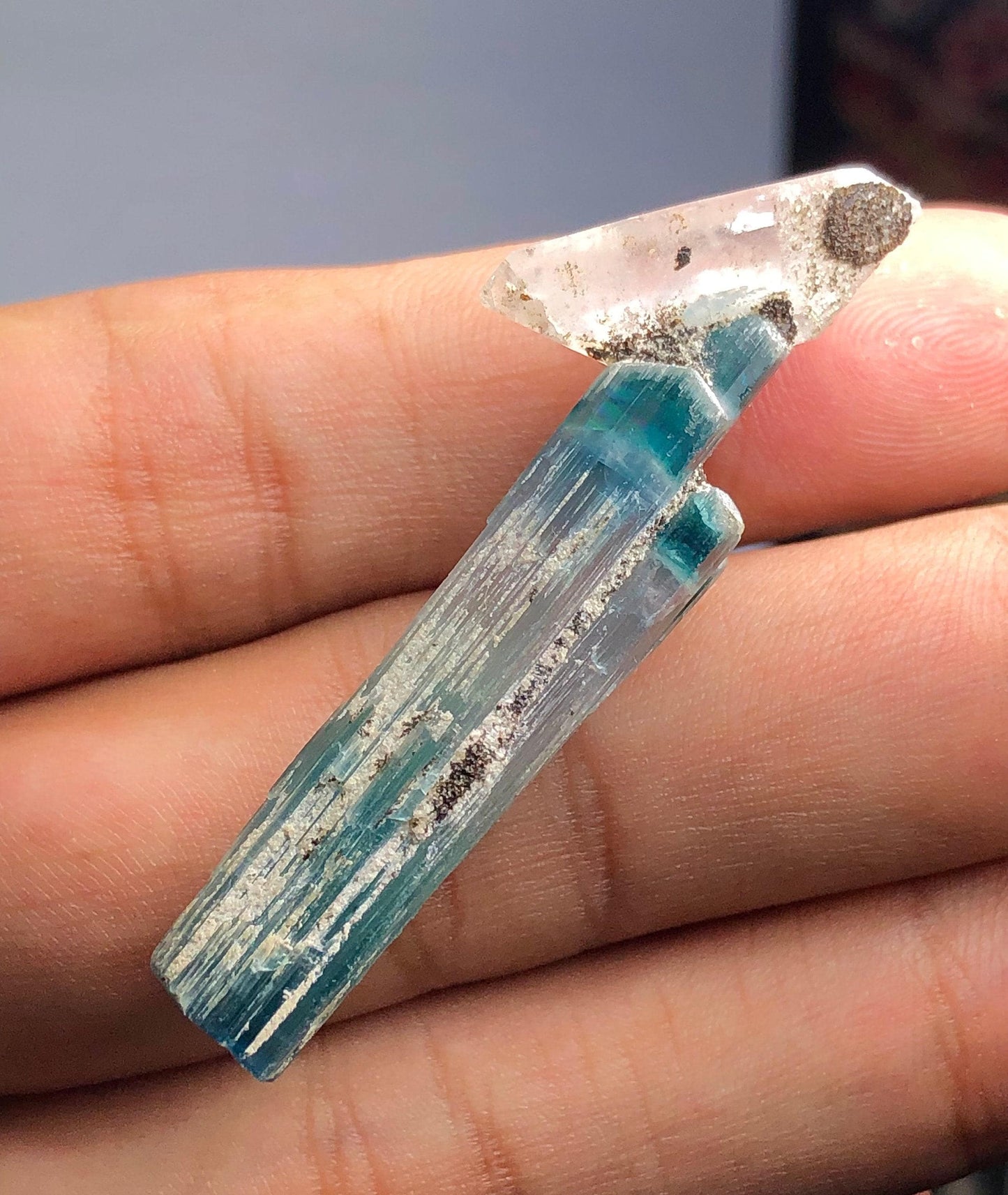 Blue Tourmaline Crystal with Quartz 37 ct - Terminated Collector Specimen