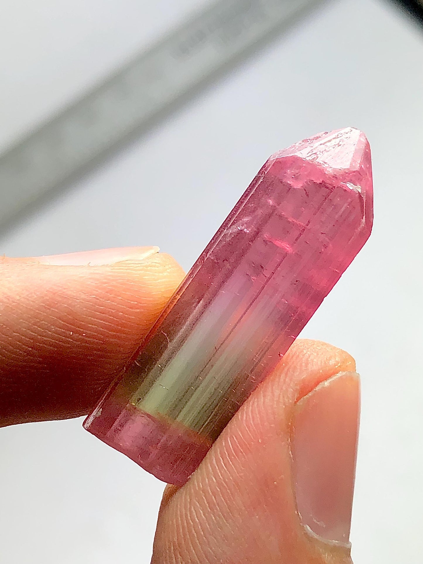 Tri Colour Tourmaline Crystal 17.35 ct - Collector Gemstone with Natural Beauty