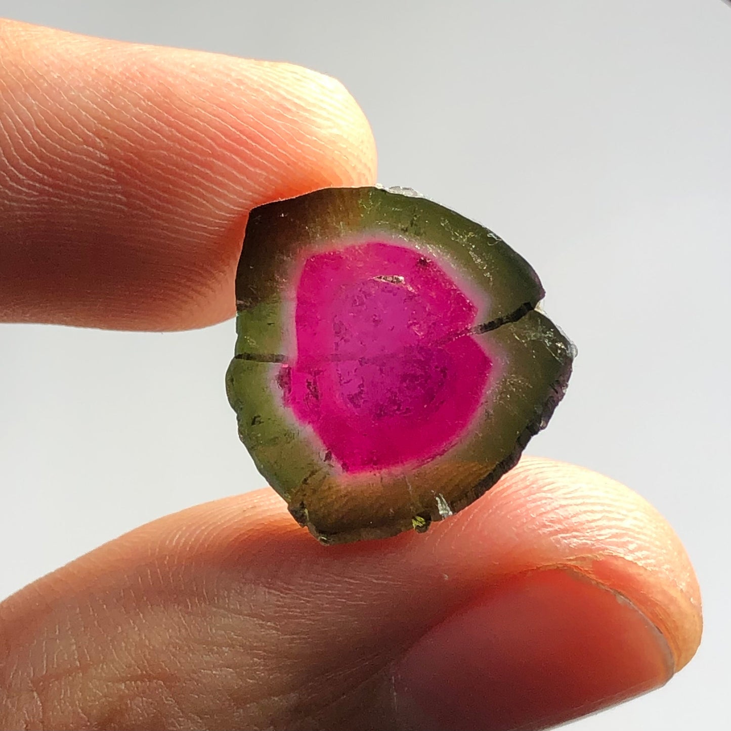 Watermelon tourmaline slice 13.30 carats