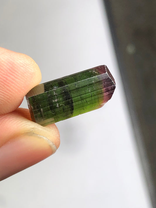 17 carat natural bi colour tourmaline crystal