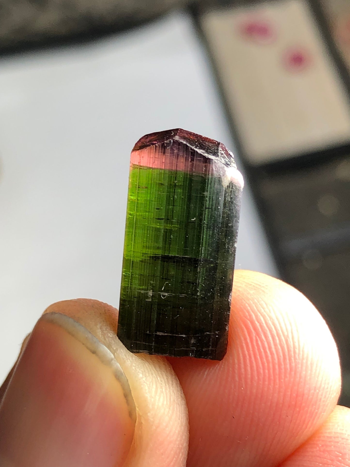 17 carat natural bi colour tourmaline crystal