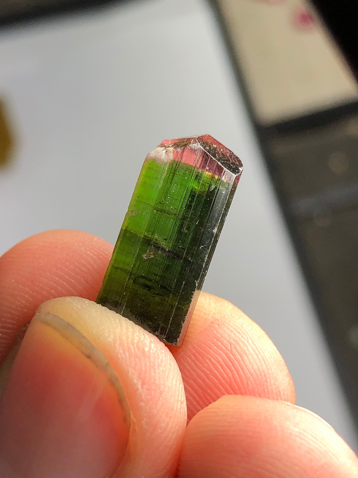 17 carat natural bi colour tourmaline crystal