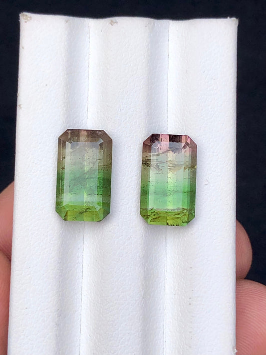 Bi colour tourmaline pair 11 carats