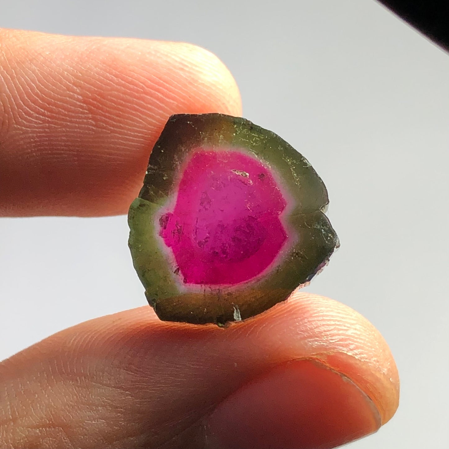 Watermelon tourmaline slice 13.30 carats