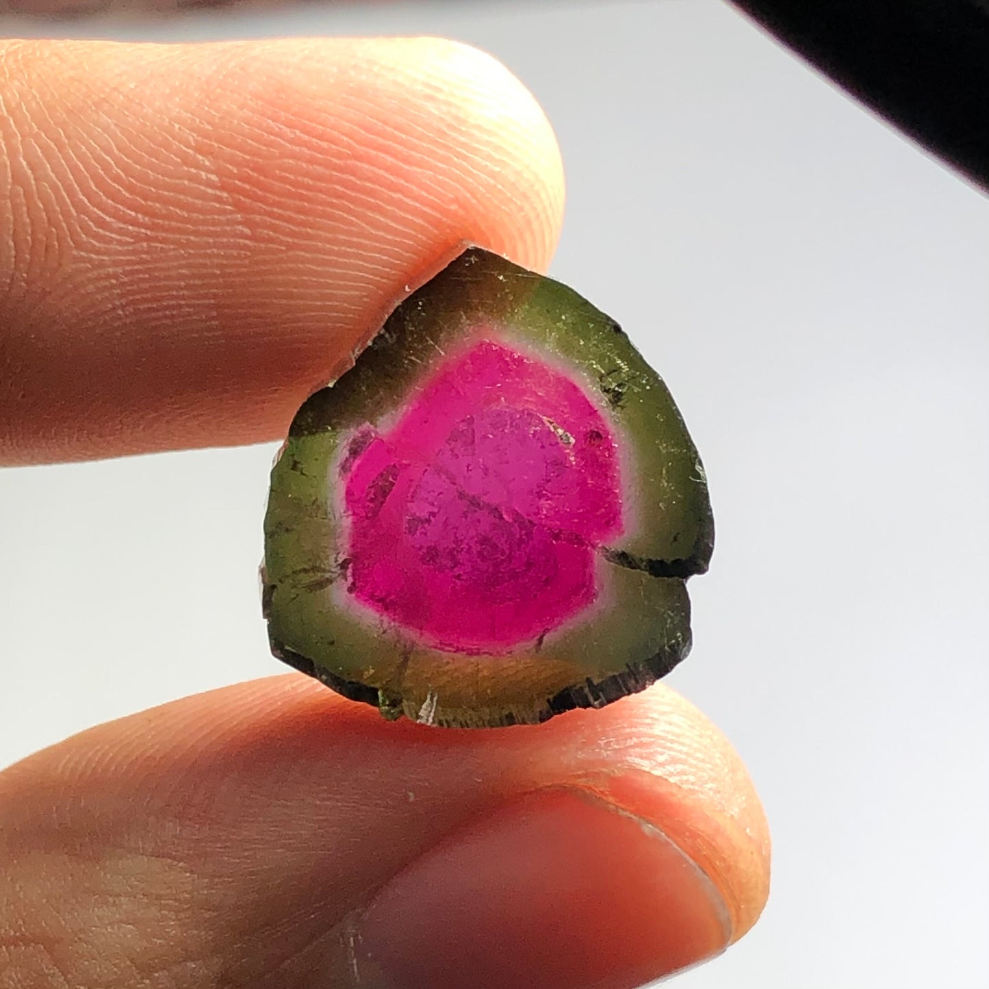 Watermelon tourmaline slice 13.30 carats