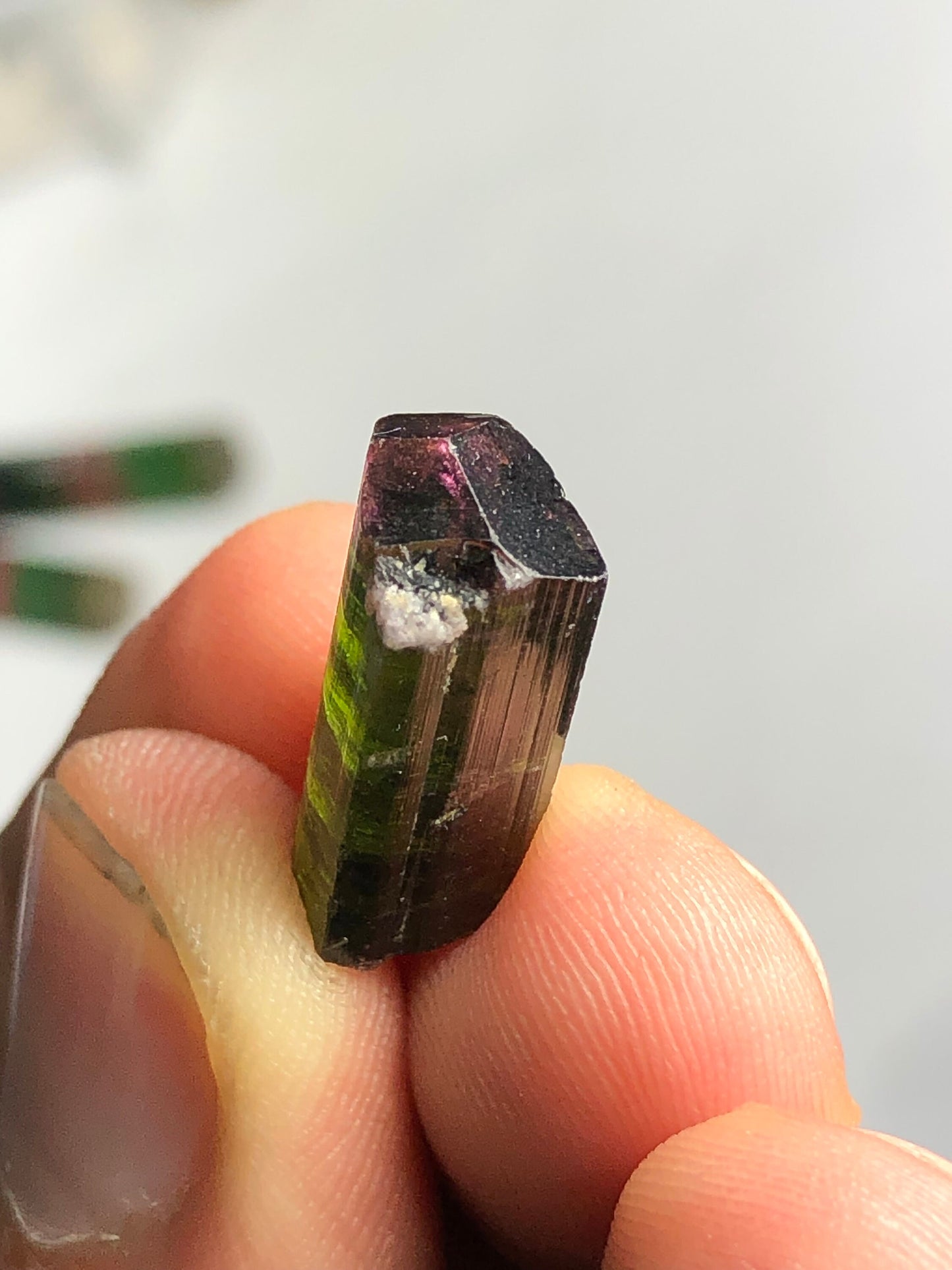 17 carat natural bi colour tourmaline crystal