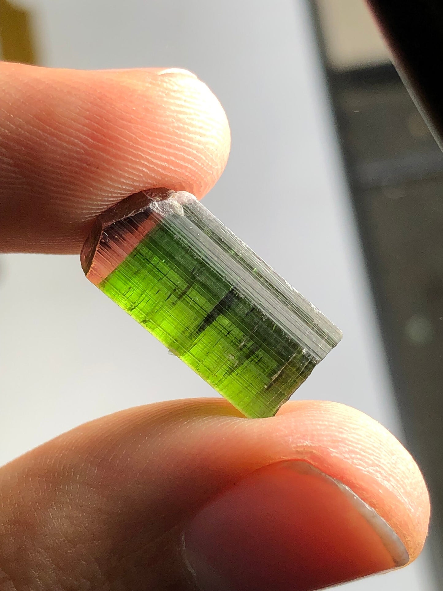 17 carat natural bi colour tourmaline crystal