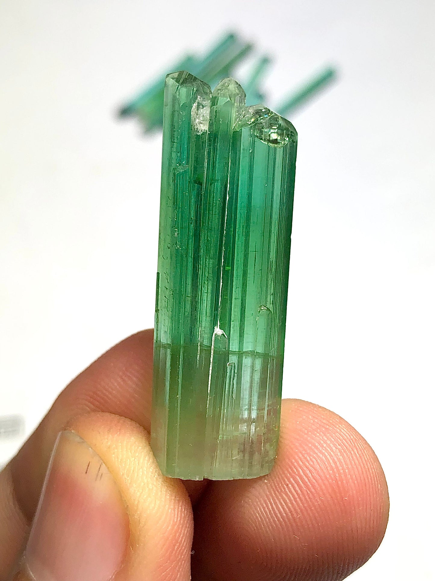 Bluish green tourmaline crystal 6.50 grams