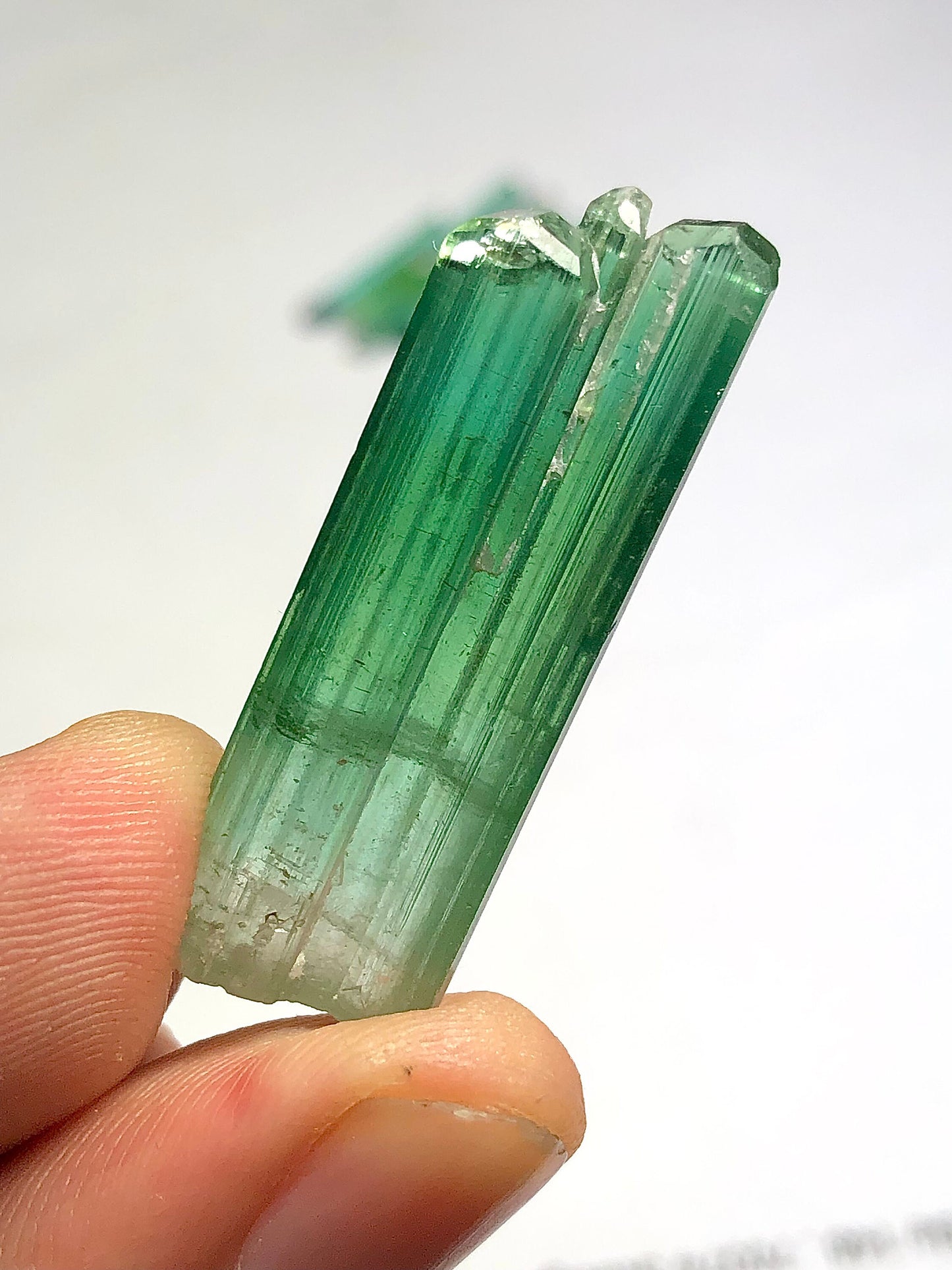 Bluish green tourmaline crystal 6.50 grams