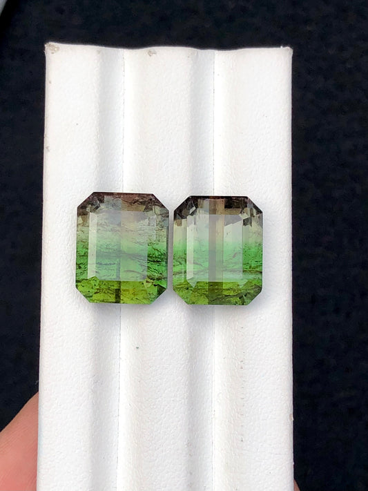 Bi colour tourmaline pair 20.90 carats