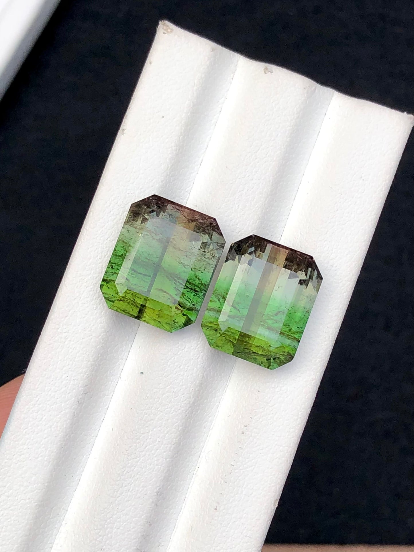 Bi colour tourmaline pair 20.90 carats