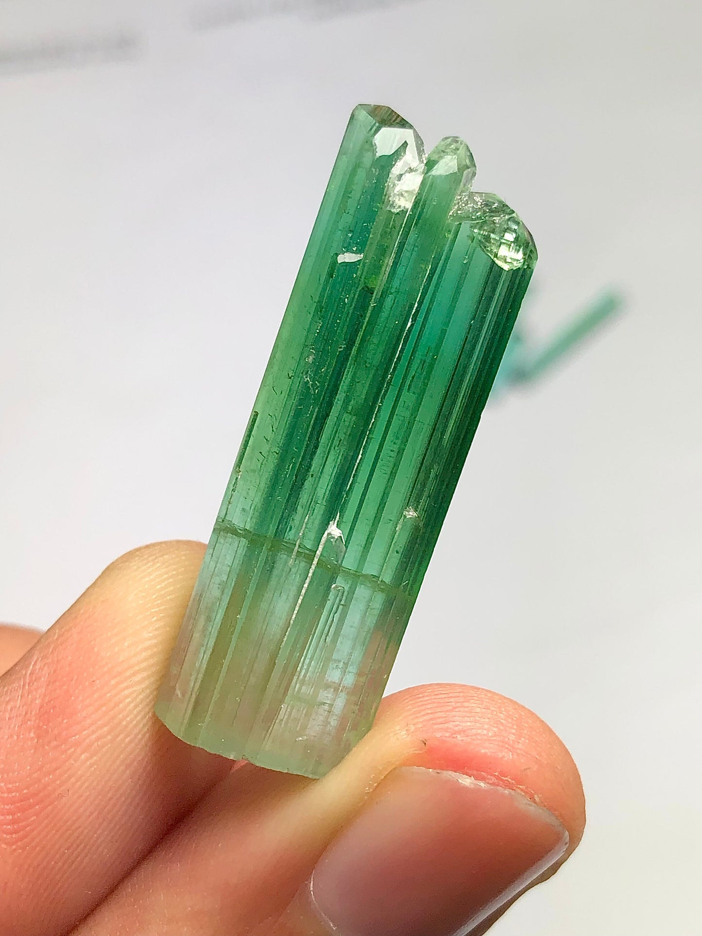 Bluish green tourmaline crystal 6.50 grams