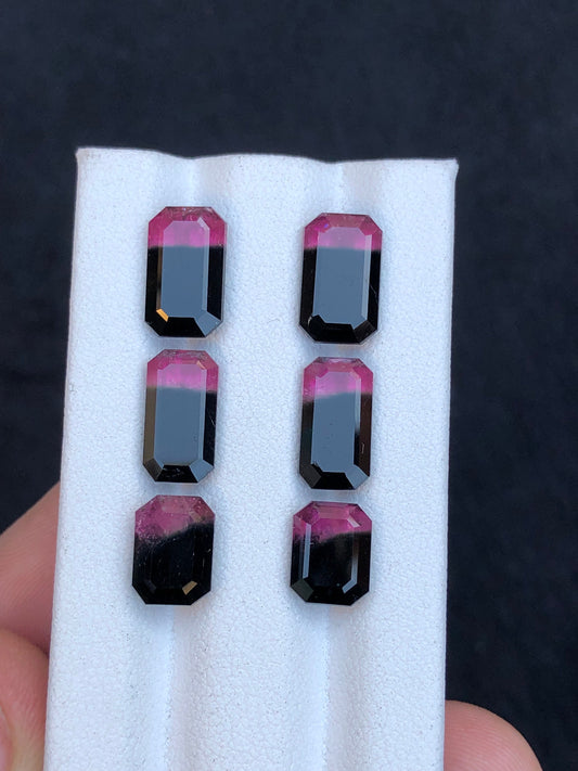 Bi colour tourmaline pairs 17.70 carats