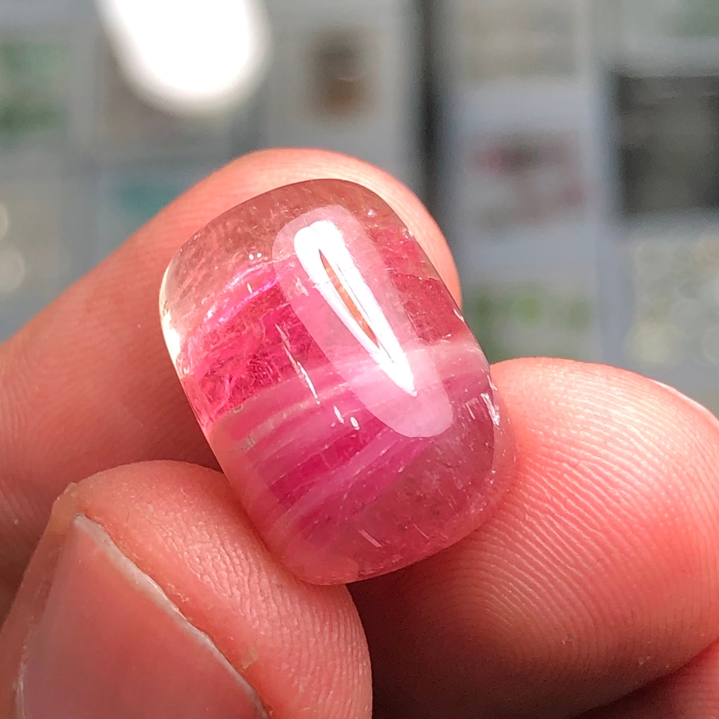 Watermelon tourmaline cabochon 19.20 carat