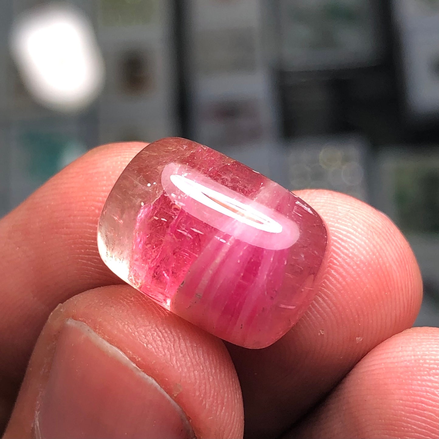 Watermelon tourmaline cabochon 19.20 carat