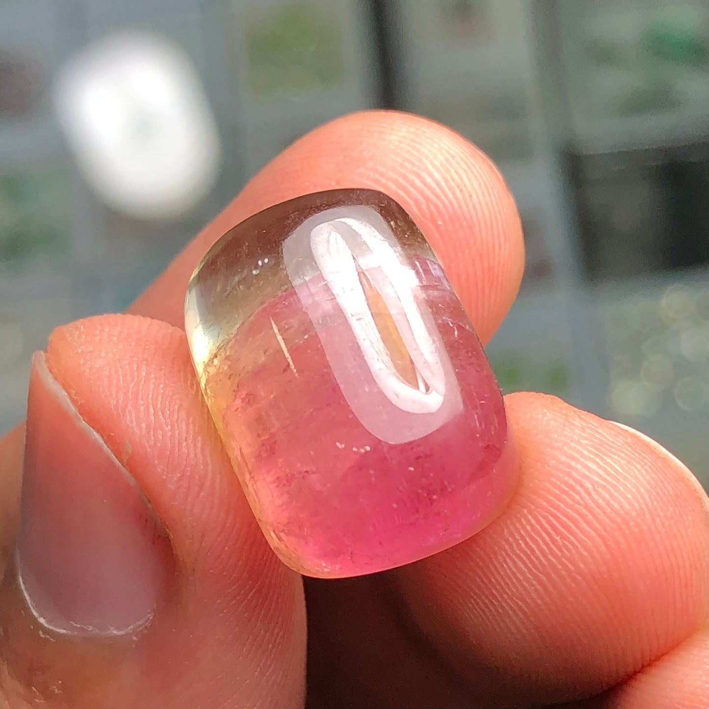 Watermelon tourmaline 26.90 carats