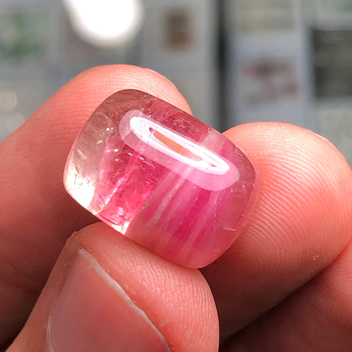 Watermelon tourmaline cabochon 19.20 carat