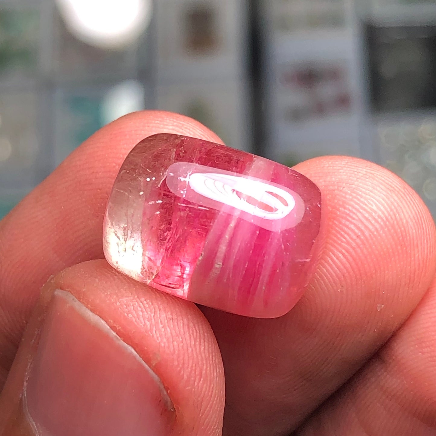 Watermelon tourmaline cabochon 19.20 carat