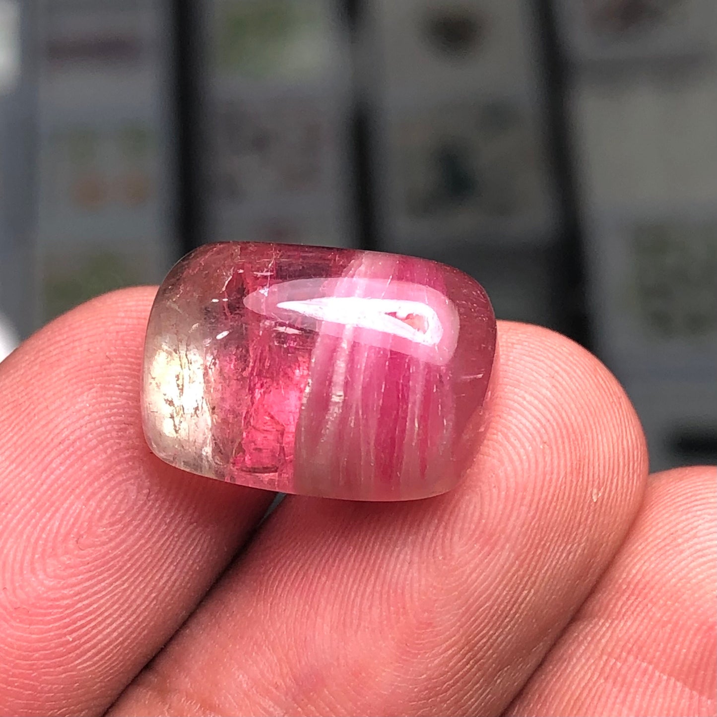 Watermelon tourmaline cabochon 19.20 carat