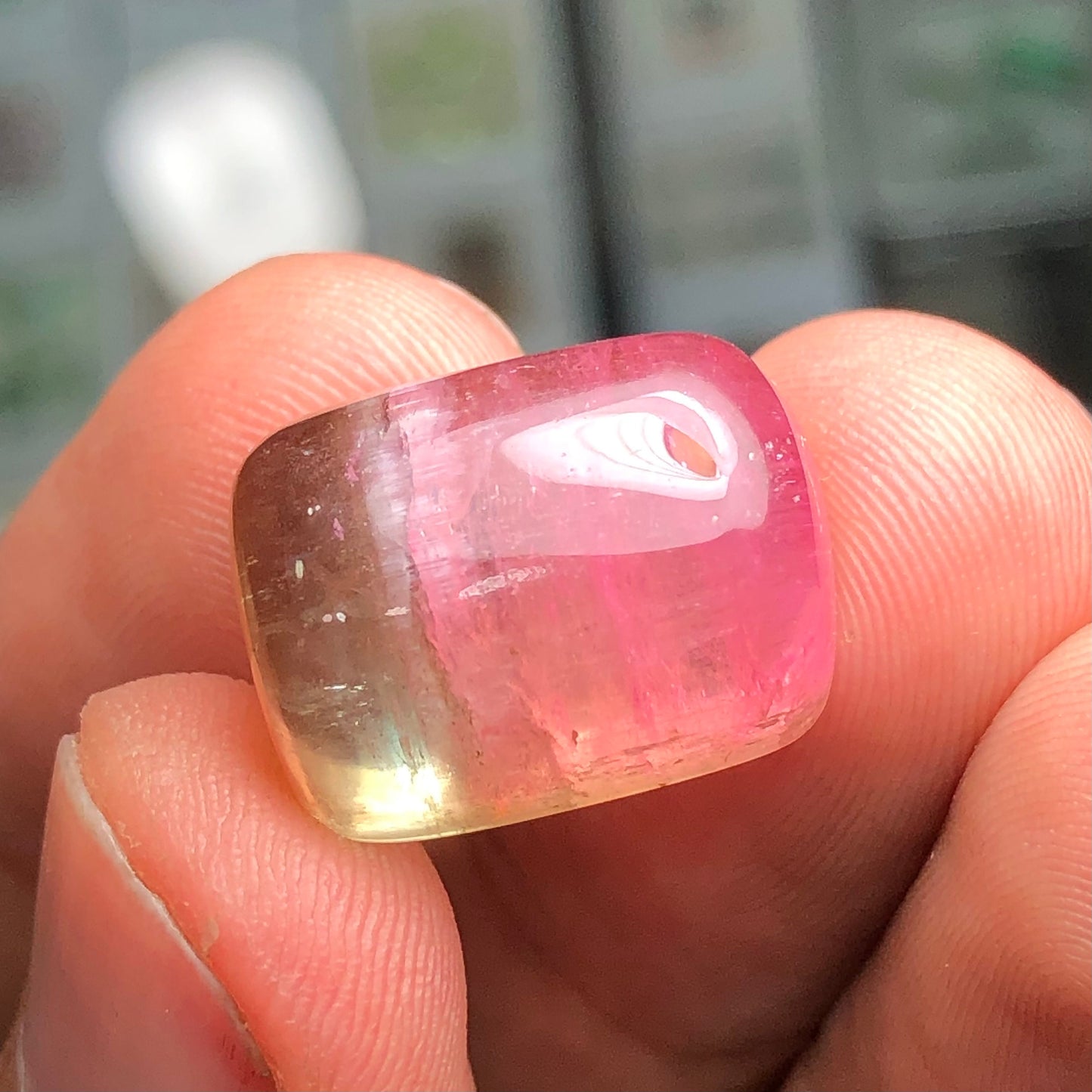 Watermelon tourmaline 26.90 carats