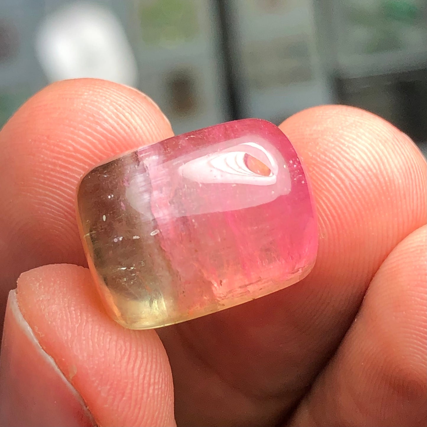 Watermelon tourmaline 26.90 carats