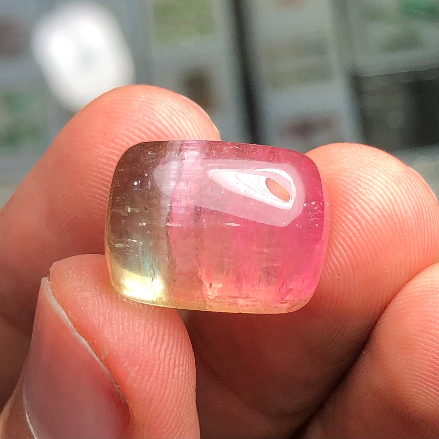 Watermelon tourmaline 26.90 carats