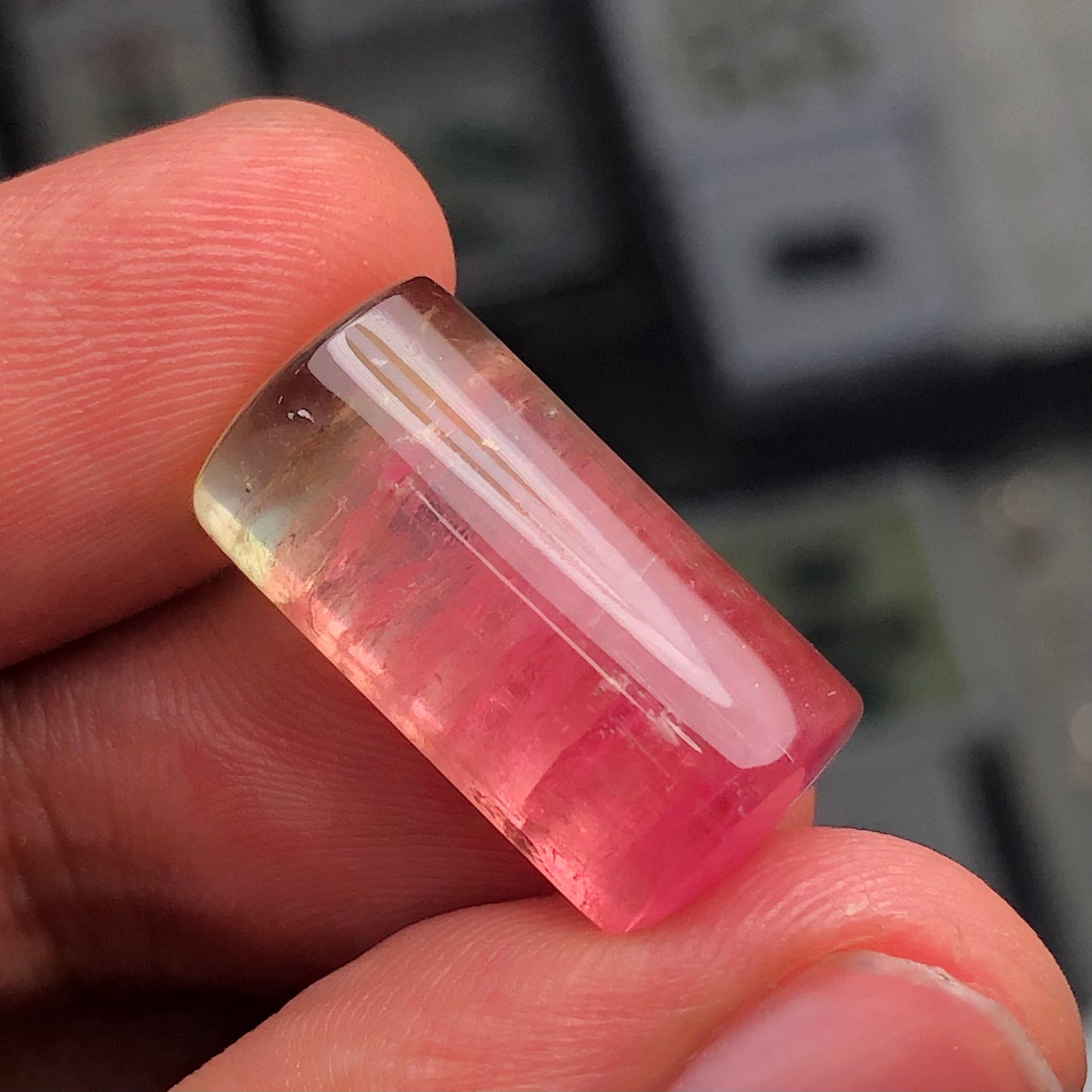 Natural Watermelon tourmaline cabochon 20.45 carats