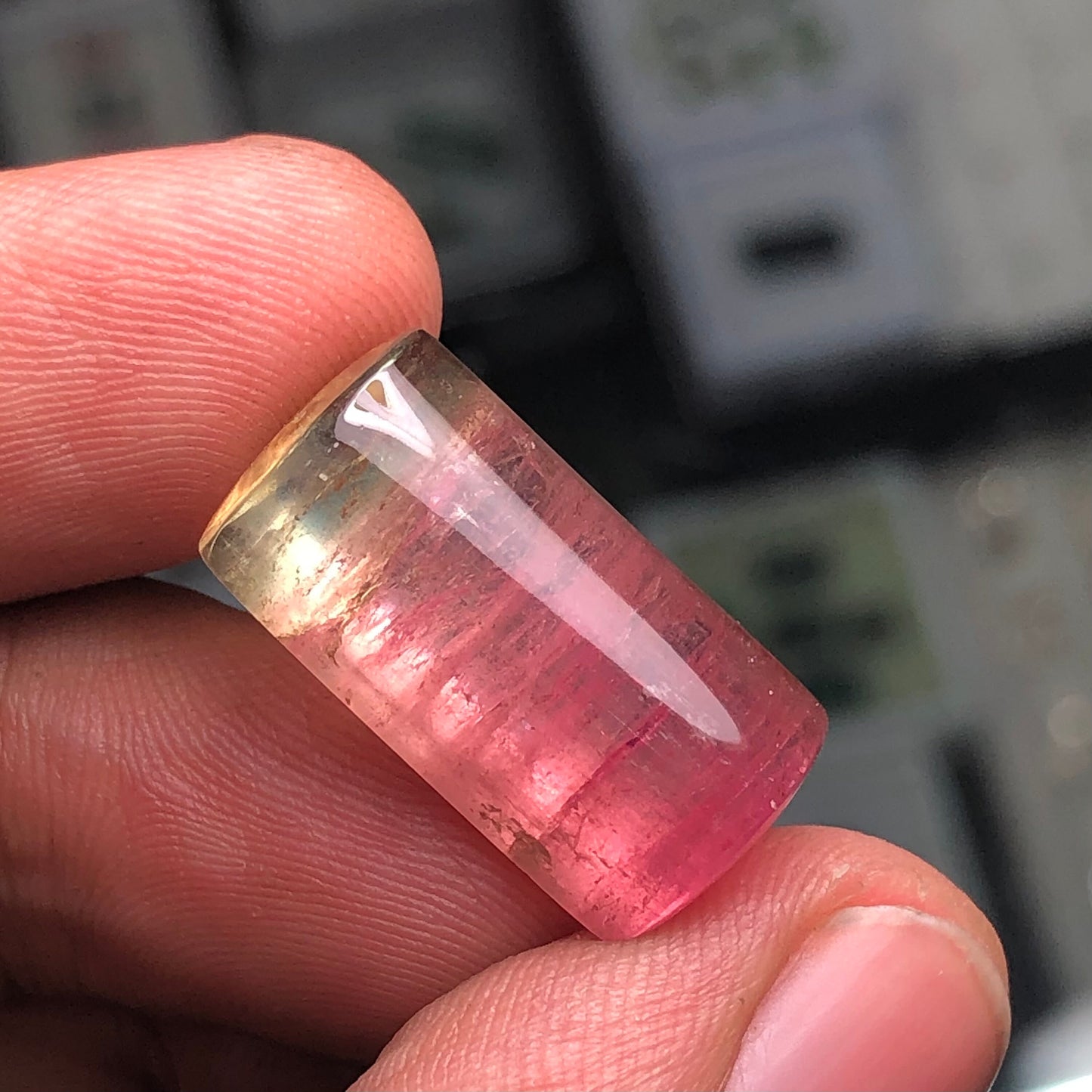 Natural Watermelon tourmaline cabochon 20.45 carats