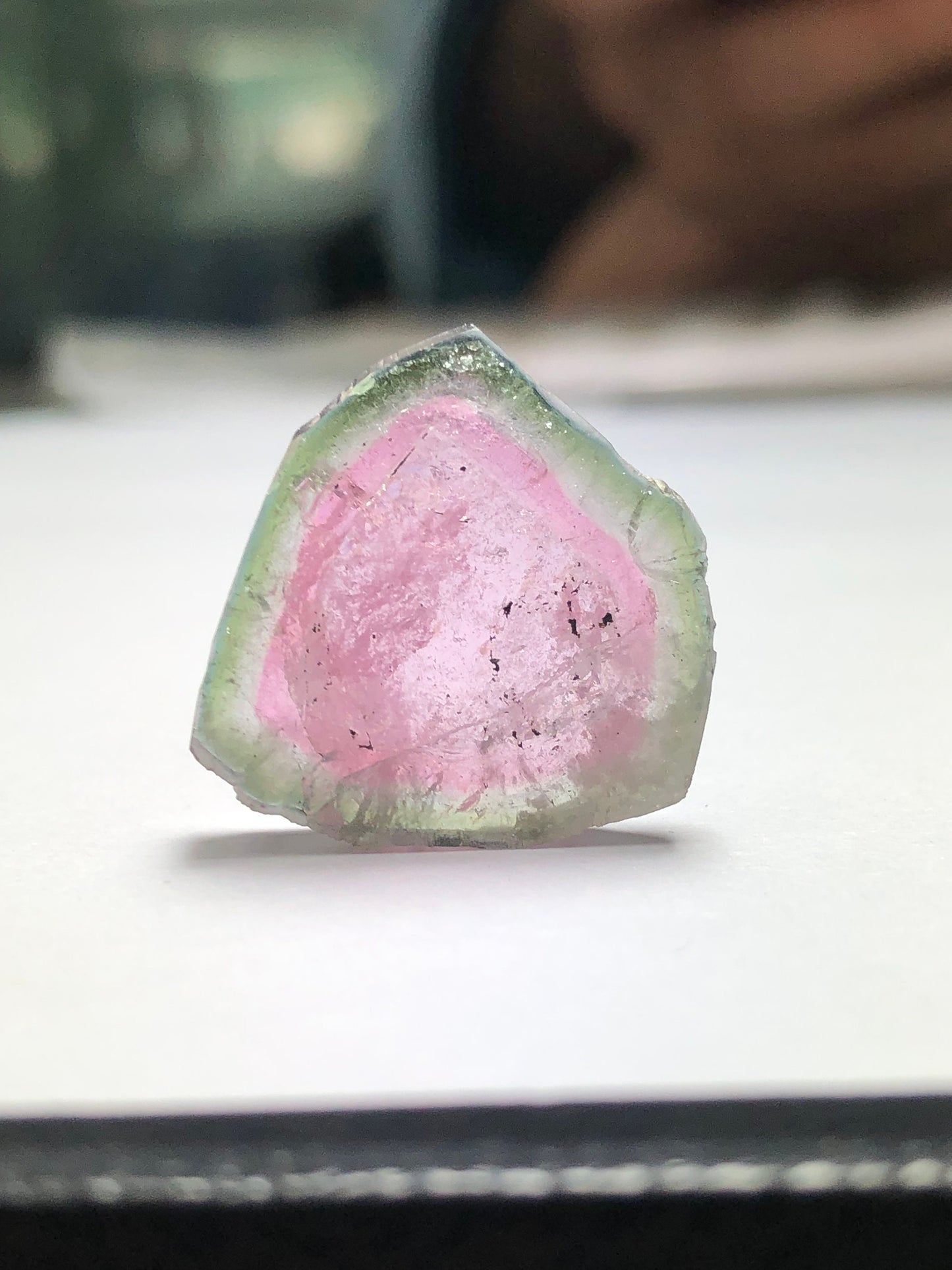 17.70 carat watermelon tourmaline slice