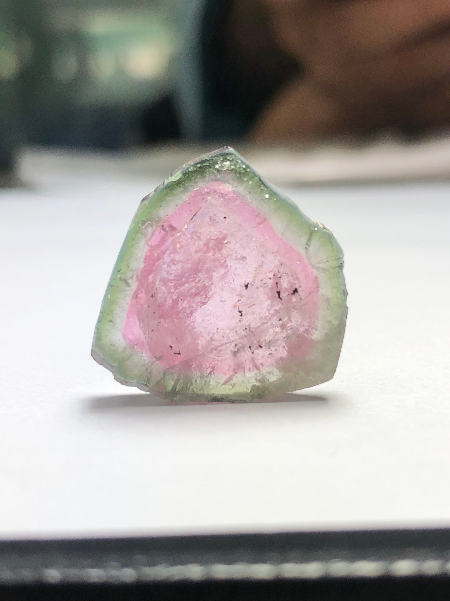 17.70 carat watermelon tourmaline slice