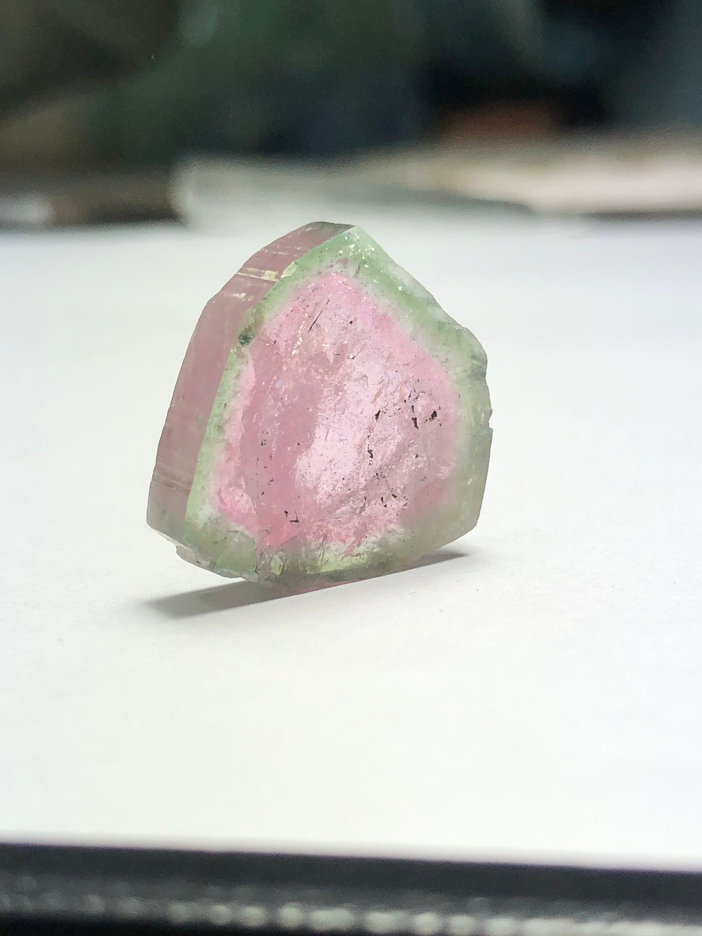 17.70 carat watermelon tourmaline slice