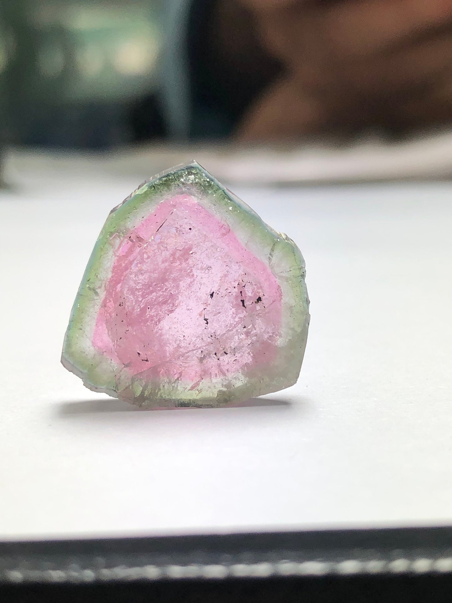 17.70 carat watermelon tourmaline slice