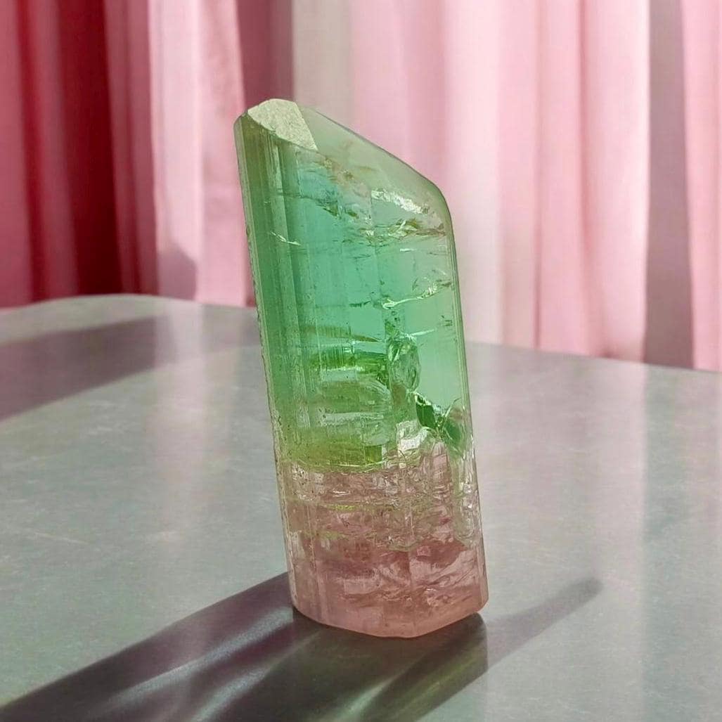 50 carats unique bi colour terminated tourmaline crystal